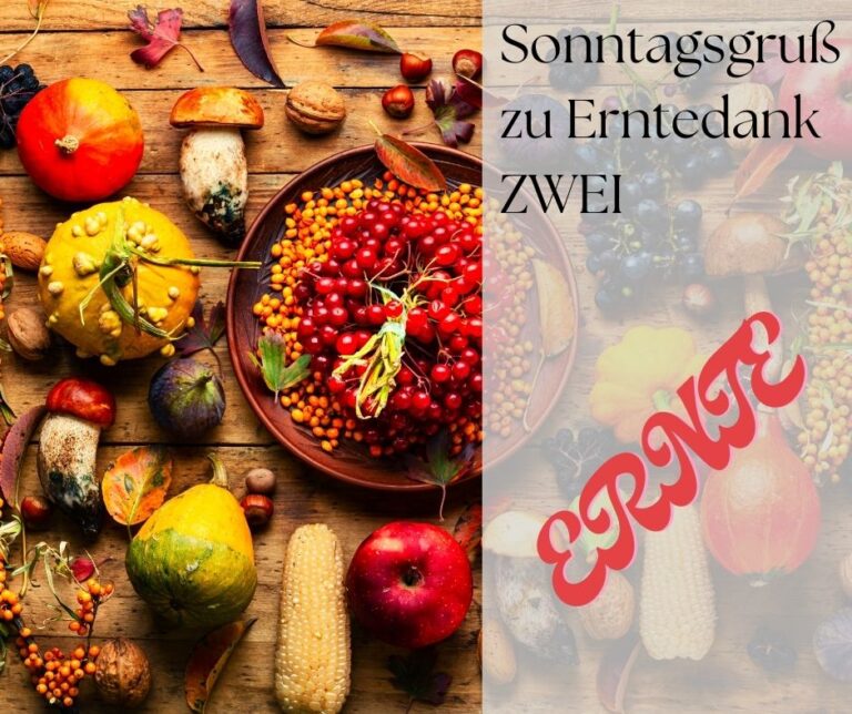 Zweiter Sonntagsgruß zu Erntedank